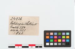 Etiketten zu Bronzezweiknopffibel (NHMW-PRAE-024826)